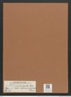 Navicula mesolepta var. stauroneformis Grun. (de-Toni-Nr.: Genus 1, Species 77) Zeichnungen Sammlung Grunow Mappe 00059 (Herbarium_W_Grunow_drawings_Folder_00059)